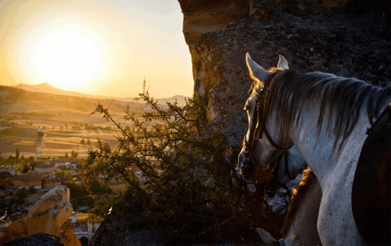 Cappadocia Horse Riding &Atv Quad Bike & Shooting with Camel - Safety and Practical Tips for Participants
