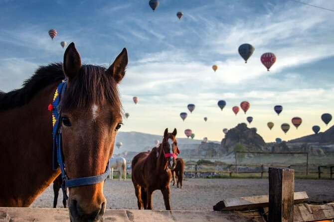 Cappadocia Horse Riding Experience Sunrise Sunset Daytime - Discover the Unique Charm of Cappadocia Horse Riding Tours