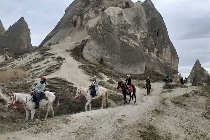 Cappadocia Horseback Riding Tour - The Horses: Well-Maintained and Temperamentally Calm
