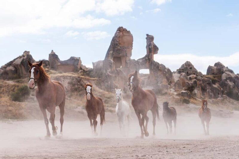 Cappadocia :Horseback Riding Tour Rose-Red Valley/LoveValley - What to Expect During the Horseback Ride