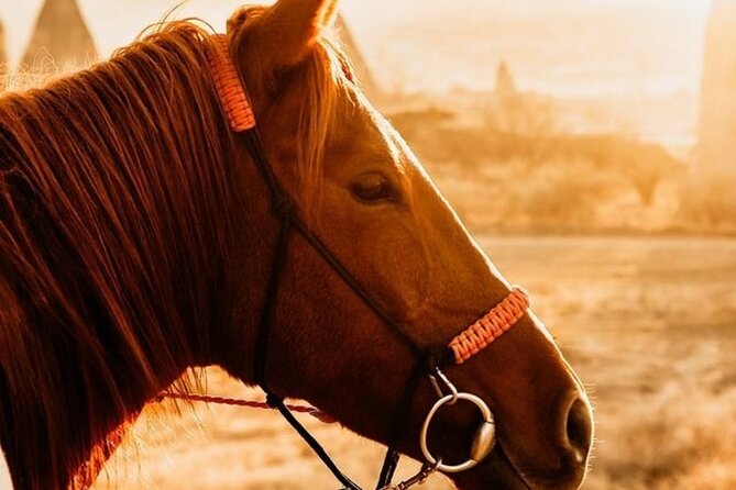 Cappadocia Horseback Riding Tour (Transfer Included) - Starting from Goreme for an Easy Pickup