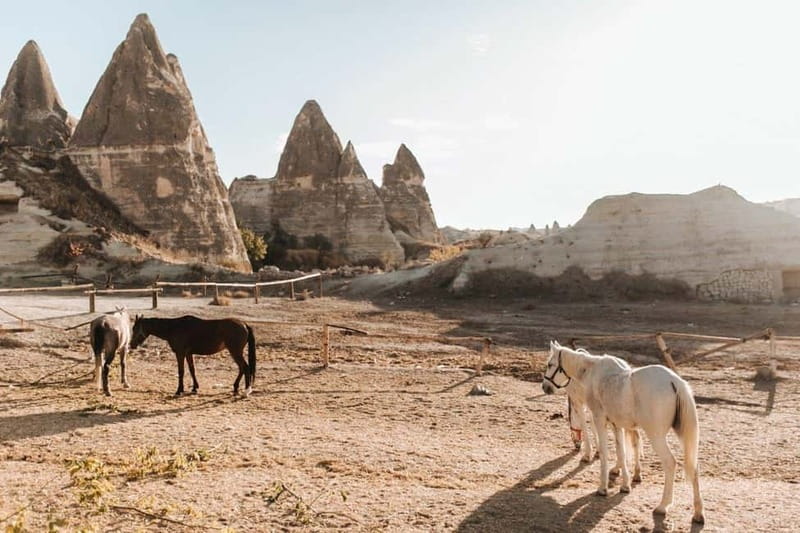 Cappadocia Horseback Riding : Unique Exploration Horse Tour - Sunrise Ride: Witness Dawn Over Cappadocia