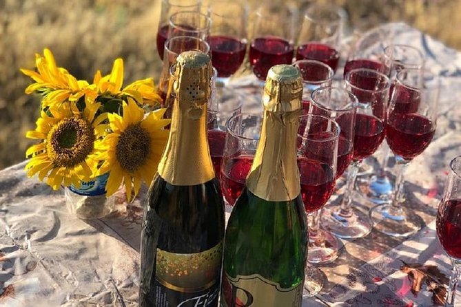 Cappadocia Hot Air Balloon Ride with Transfers - Booking Tips and Important Considerations