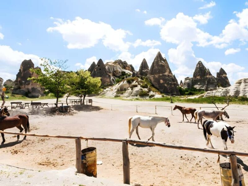 Cappadocia Love Valley Horse Ride: Sunset Deep Trail - The Guide: Professional, Supportive, and Knowledgeable