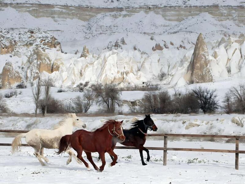Cappadocia Love Valley Horse Ride: Sunset Deep Trail - What to Bring and What to Expect in Terms Preparation
