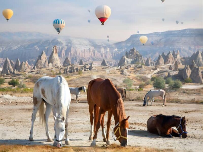 Cappadocia Love Valley Horse Ride: Sunset Deep Trail - The Experience Provider: Hedera Travels Commitment to Quality