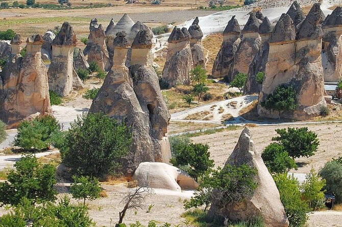 Cappadocia NAV & Kayseri ASR Shuttle Airport Transfer - Why Choose This Shuttle Service in Cappadocia