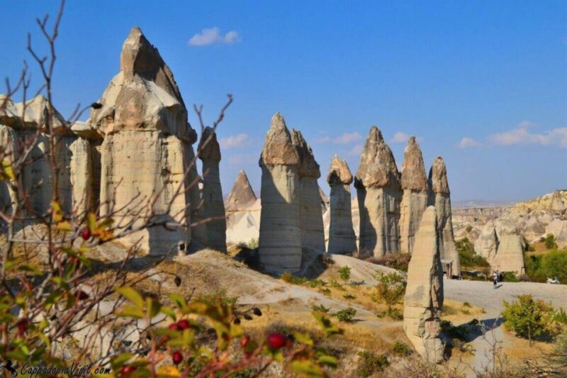 Cappadocia Red Tour with Goreme Open Air Museum and Pasabag - Convenient Drop-off at Multiple Locations