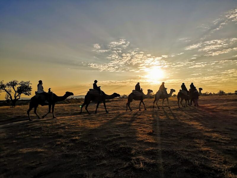 Cappadocia: Sunrise Camel Safari - Starting in the Heart of Cappadocia: Hotel Pickup and Drop-Off