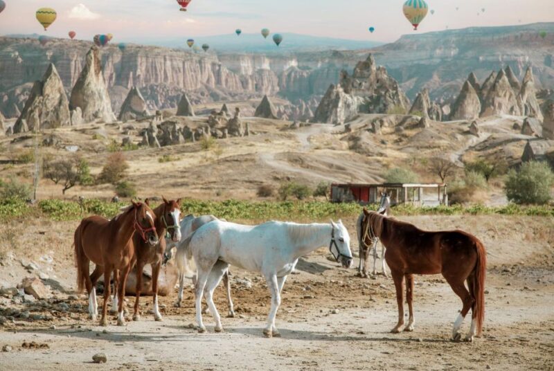 Cappadocia: Sunset Horseback-Riding Tour - Discovering Cappadocia’s Fruit Orchards and Vineyards