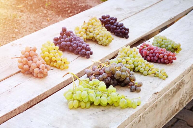 Cappadocia Wine Tasting Experience - How the Guide Explains Cappadocia’s Winemaking Heritage