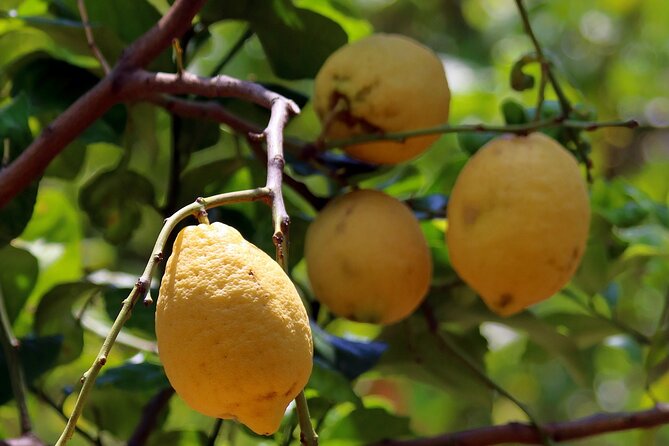 Capri, Blue Grotto, Sorrento & Pompeii Private Tour - Sorrento: Free Time and Italian Lunch Options