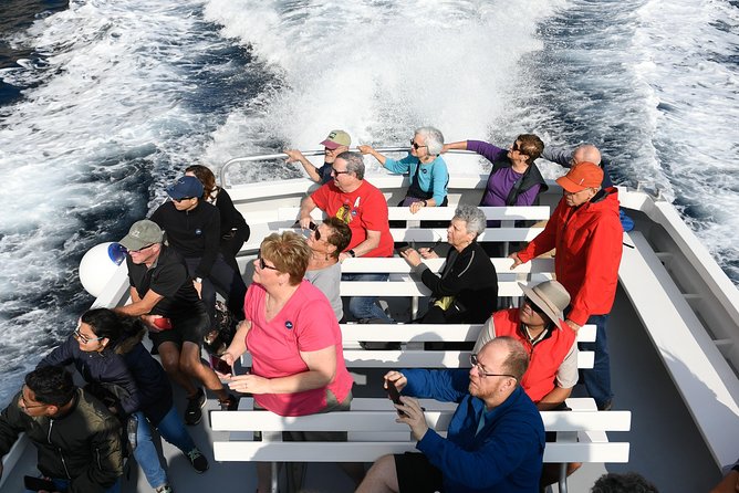 Capri Coast to Coast: Boat Tour with Optional Blue Grotto - The Experience with the Skipper and Crew
