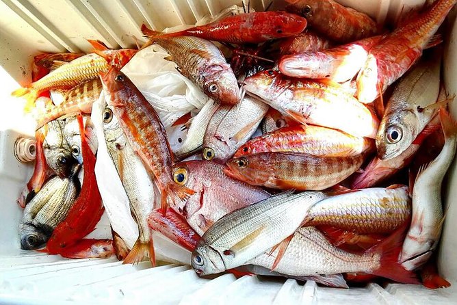 Capri Fishing Excursion with Snorkeling and Lunch from Sorrento - Fishing with a Local Skipper and Learning Regional Techniques