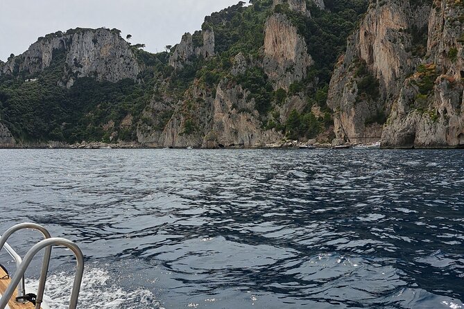 Capri in 3 Hours The Best of the Island by Private Classic Gozzo - Frequently Asked Questions