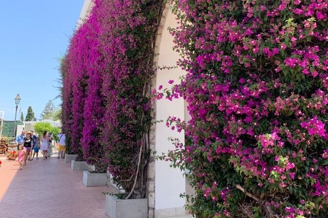 Capri Island and Blue Grotto Small Group Day Tour from Capri Port - Logistics and Group Size