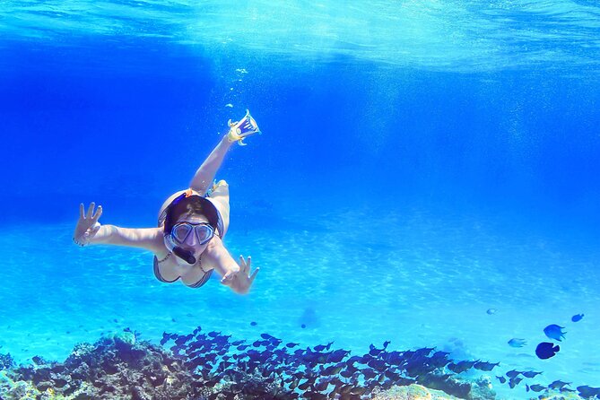 Capri Island Boat Tour from Amalfi with Snorkeling | Small Group - A dedicated stop for exploring Capris highlights