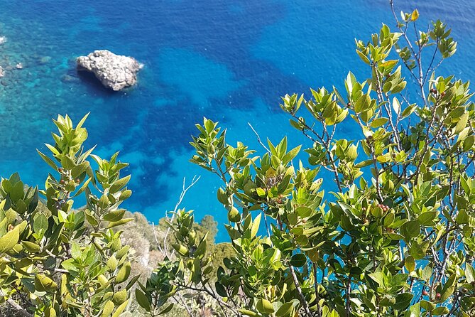Capri Private Full Day Tour from Rome - Key Points