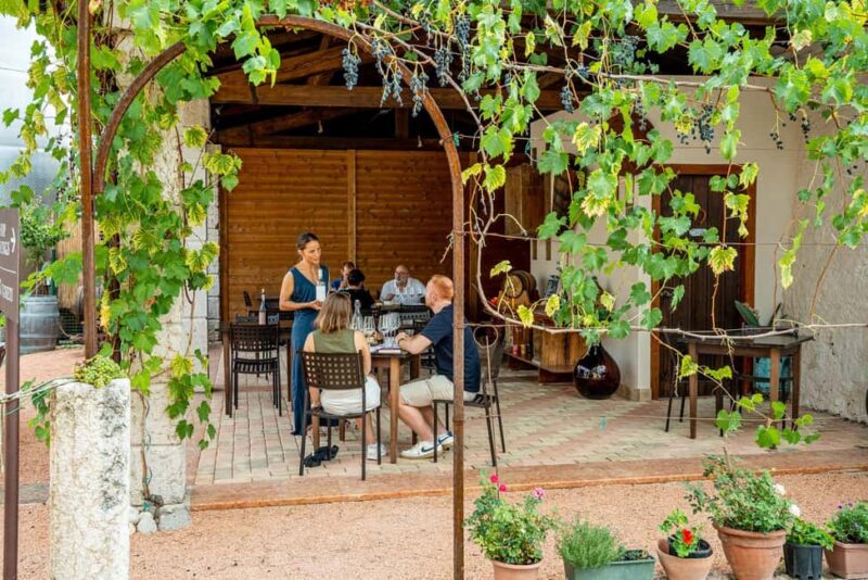 Caprino: tour and tasting of 3 wines in a Small Estate - Exploring the Wine Cellar and Sustainable Practices