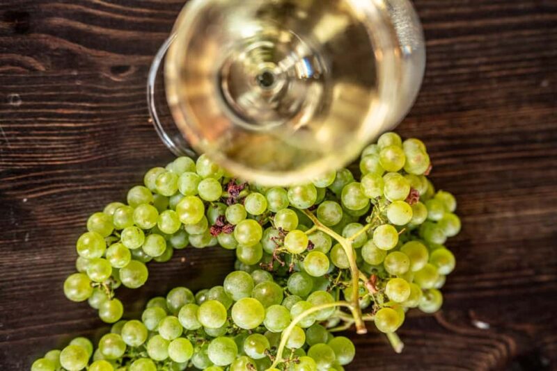 Caprino: tour and tasting of 3 wines in a Small Estate - Tasting Three Classic Regional Wines