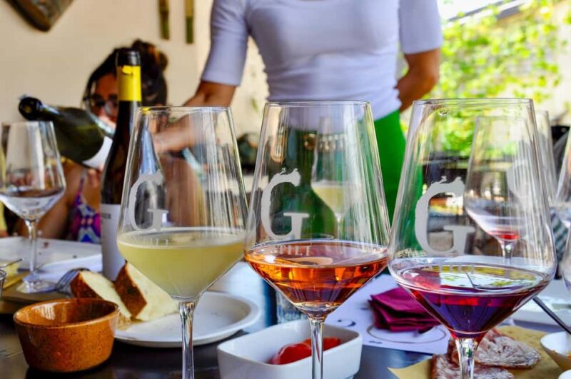 Caprino: tour and tasting of 3 wines in a Small Estate - Pacing, Group Size, and Tour Languages