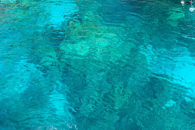 Captain Cook Reef Snorkeling of Kealakekua Bay - Delicious Hawaiian-Style Picnic Lunch