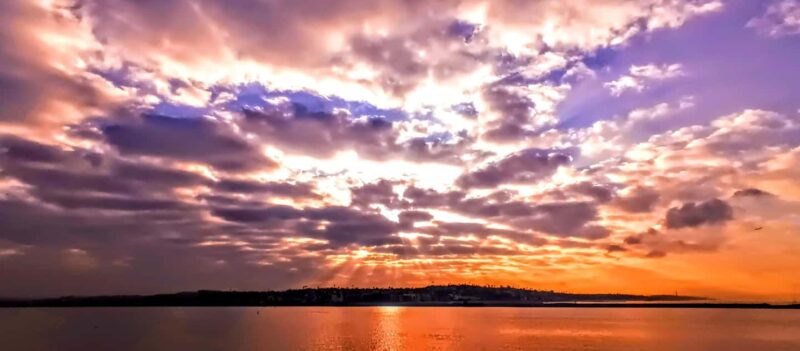 Capture LA's Coastal Magic-Wildlife, Marina Photography Tour - Learning from a Top LA Fashion and Editorial Photographer