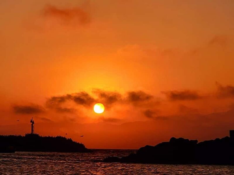 Capture LA's Coastal Magic-Wildlife, Marina Photography Tour - Logistics and Meeting Point Details