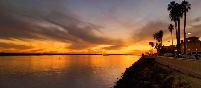 Capture LA's Coastal Magic-Wildlife, Marina Photography Tour - Capture LAs Coastal Magic: An Engaging Photography Cruise