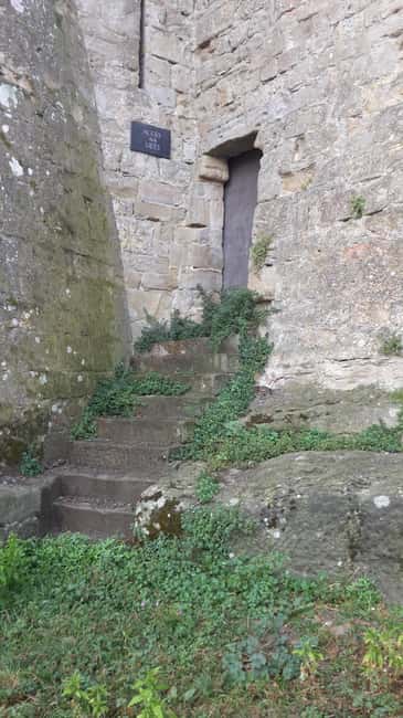 Carcassonne: 1h30 Walking Tour of the Medieval City - Discover Carcassonne’s Medieval Charm with a Local Guide