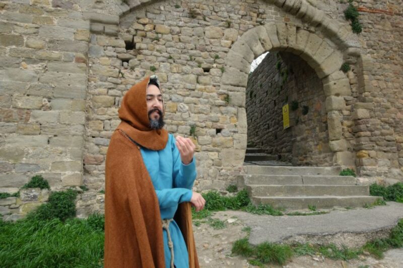 Carcassonne: Medieval Builder-Themed City Tour with a Guide - The Moat and Exterior of the Comtal Castle