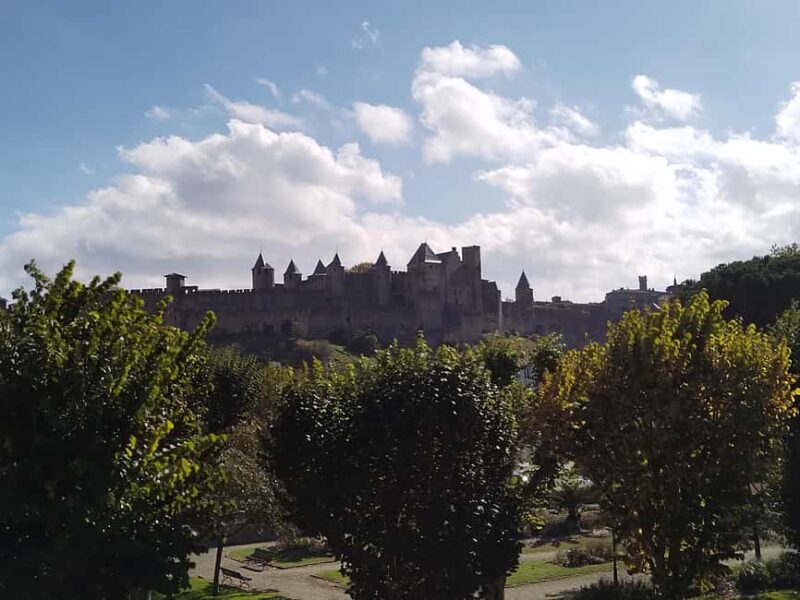 Carcassonne: Private Guided Tour of the Medieval Fortress - Practical Tips: Meeting Points and Physical Requirements