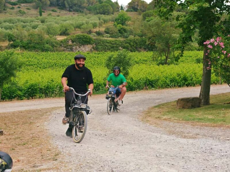 Carcassonne: Solex ride with guide and French-style brunch - Logistics and Practical Tips