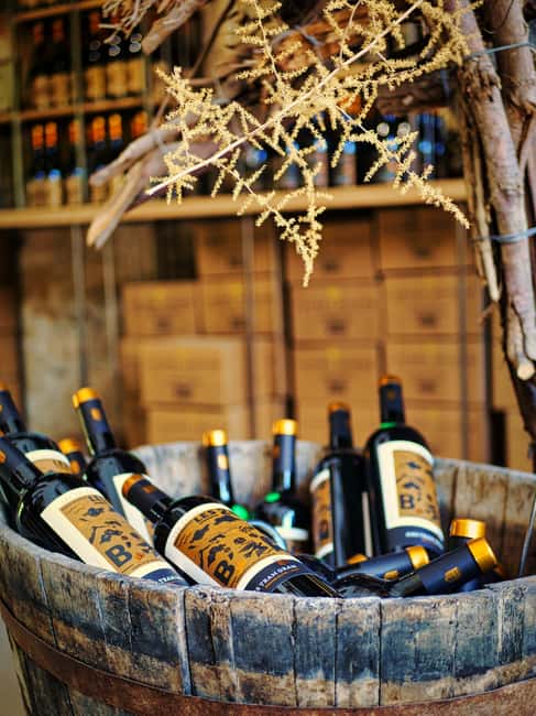 Carcassonne: Solex tour with guide and wine tasting - Key Points