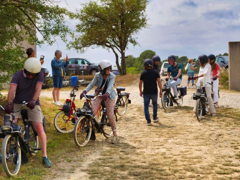 Carcassonne: Solex tour with guide and wine tasting - Practical Logistics and Group Size