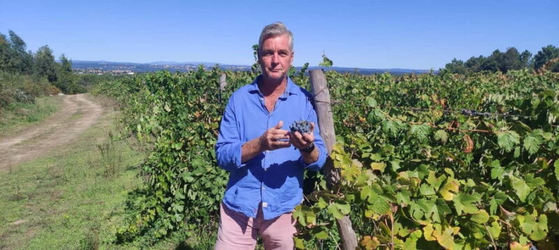 Carcassonne: Wine Tasting of the Languedoc Roussillon - Timing and Daily Availability