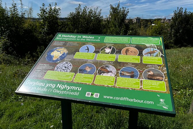 Cardiff Bay Private Self-Guided Tour - Curated Entertainment and Cultural Hotspots at Mermaid Quay