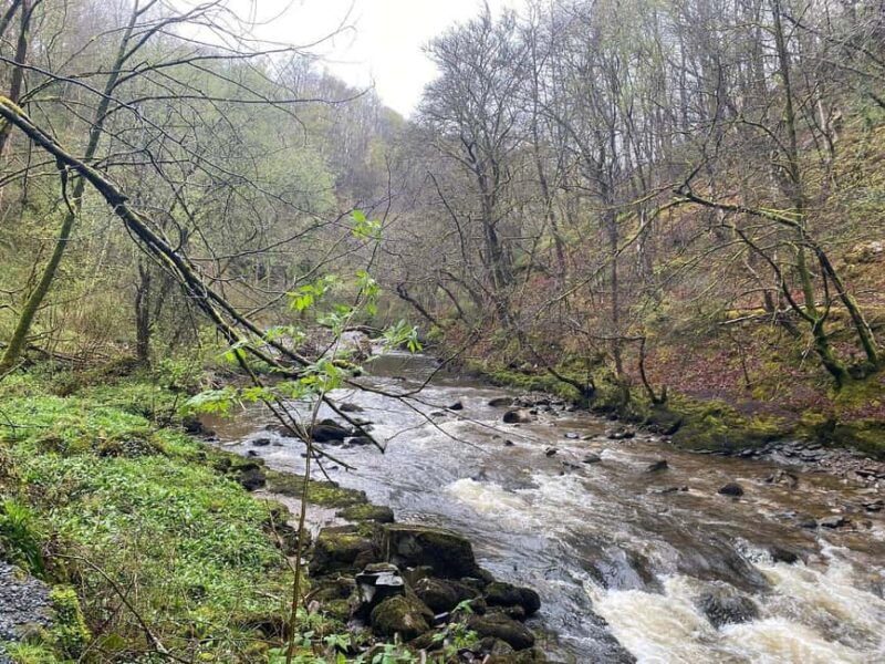 Cardiff: Brecon Beacons & Waterfall Country Private Voyage - Cardiff: Brecon Beacons & Waterfall Country Private Voyage — A Scenic and Intimate Adventure