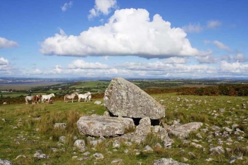 Cardiff: Private Day Tour Gower's Cliffs & Beaches - Scenic Drive to Caswell Bay and Walk Options