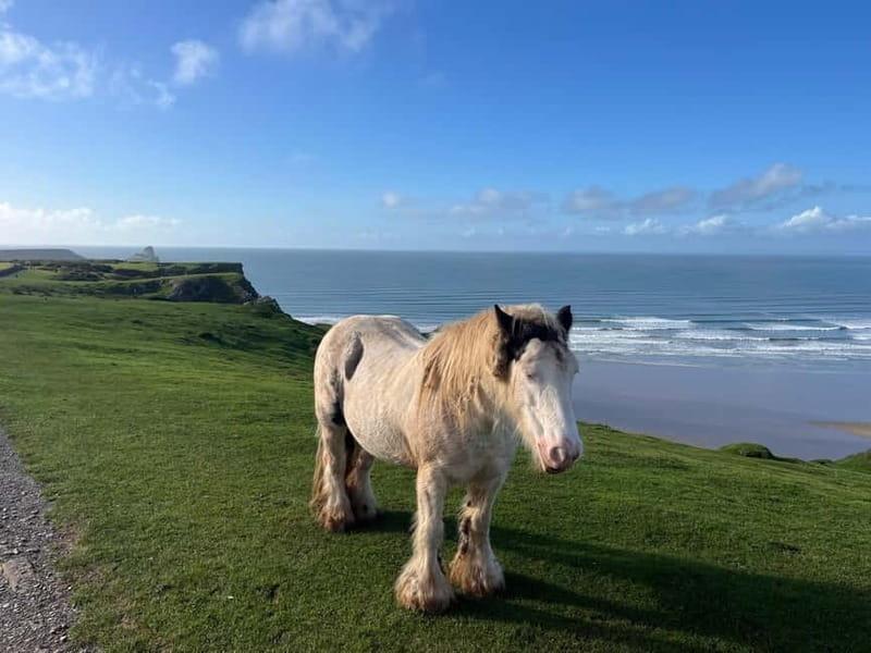 Cardiff: Private Day Tour Gower's Cliffs & Beaches - Visiting Mumbles Lighthouse and Ongoing Coastal Charm