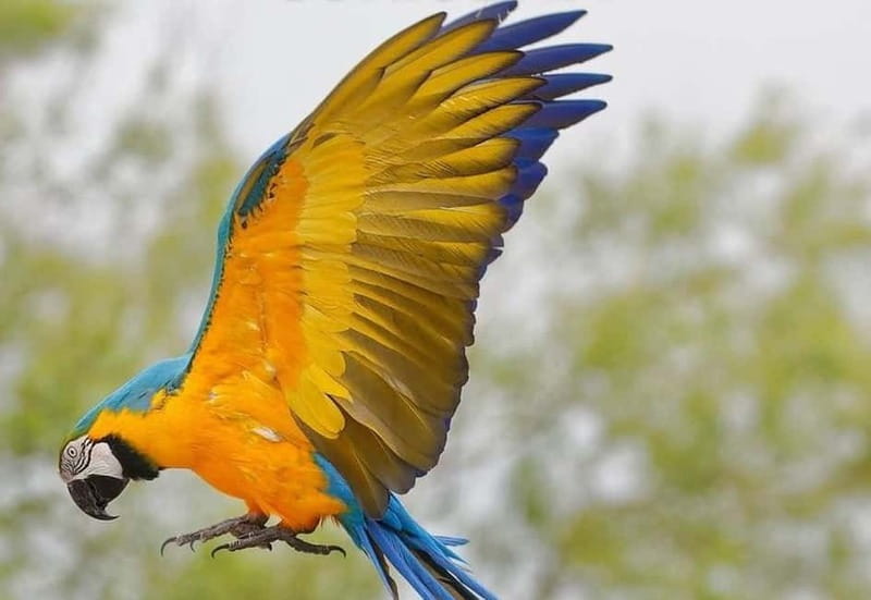 Carini: admission ticket to the Biopark of Sicily - Food and Shopping Options for a Full Day Out