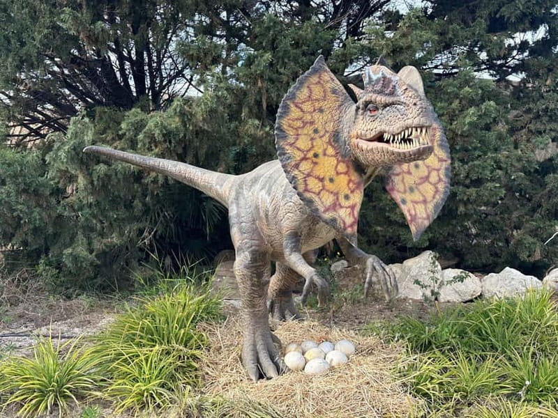 Carini: admission ticket to the Biopark of Sicily - Practical Details: Accessibility and Booking