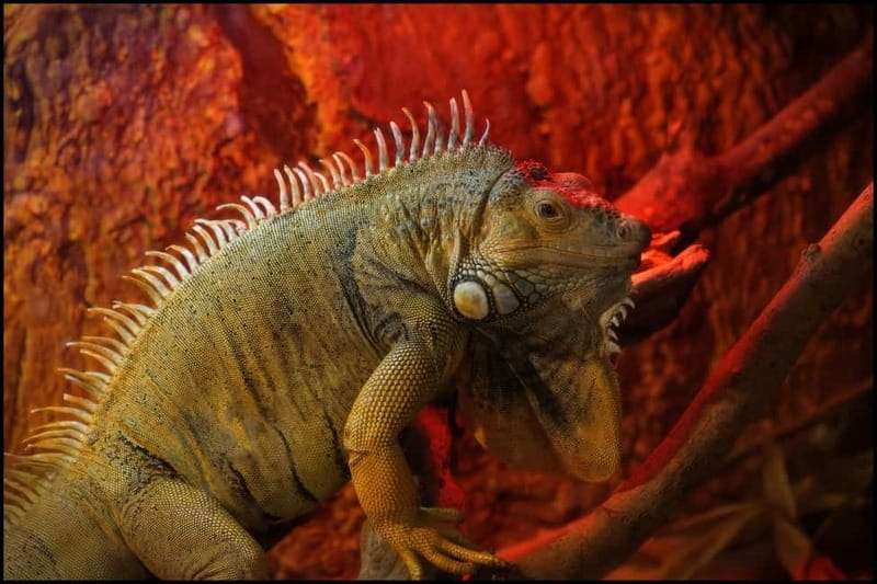 Carini: admission ticket to the Biopark of Sicily - The Park’s Overall Appeal and Suitability