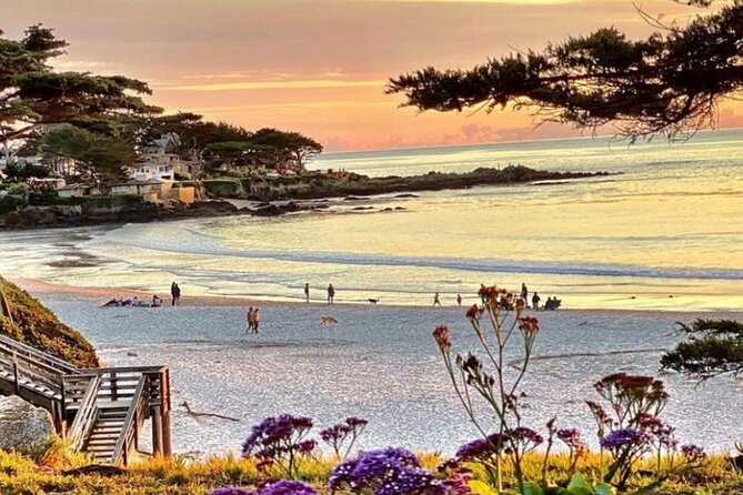 Carmel-By-The-Sea Electric Bike Guided Tour - Beaches, Wildlife, and Nature Experiences