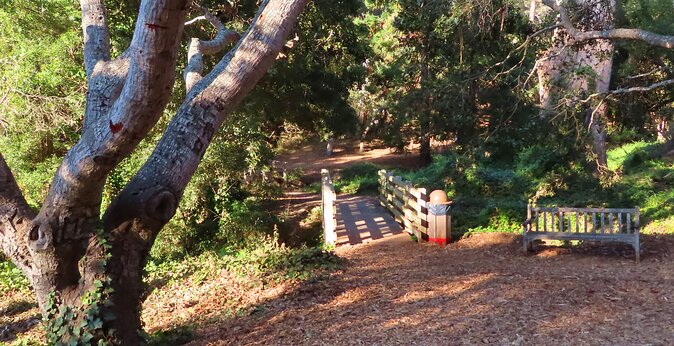 Carmel-by-the-Sea Mission Areas: A Self-Guided Audio Tour - The Tours Practical Details: Duration and Accessibility