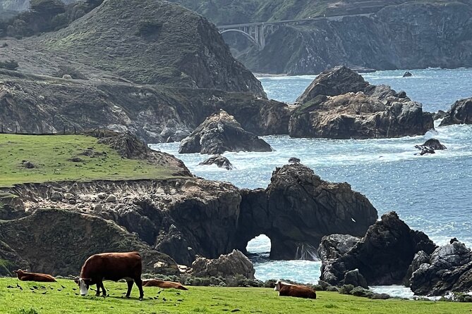 Carmel, Monterey and Big Sur Tour Private Tour from San Francisco - Practical Aspects and Booking Details