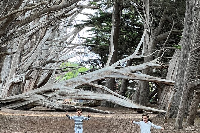 Carmel, Monterey and Big Sur Tour Private Tour from San Francisco - Frequently Asked Questions