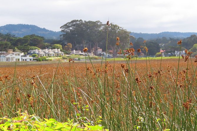 Carmel Point: A Self-Guided Audio Tour - The Experience from the Park to the Shore