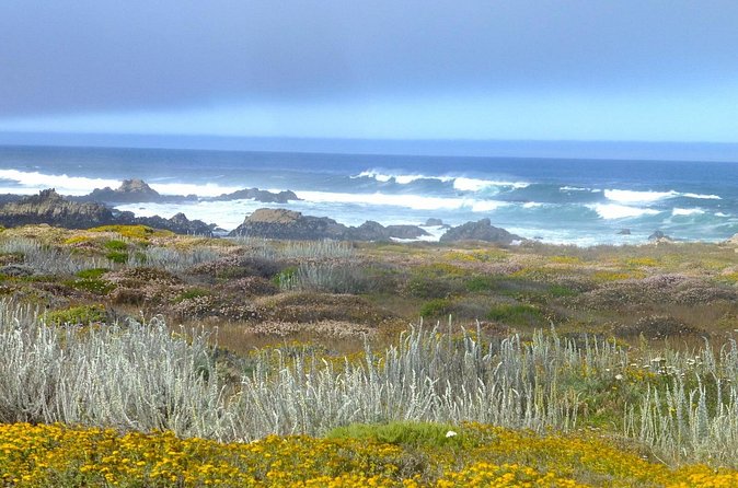 Carmel Tour in The Heavenly 17 Mile Drive - Breathtaking Coastal Vistas at Cypress Point Lookout