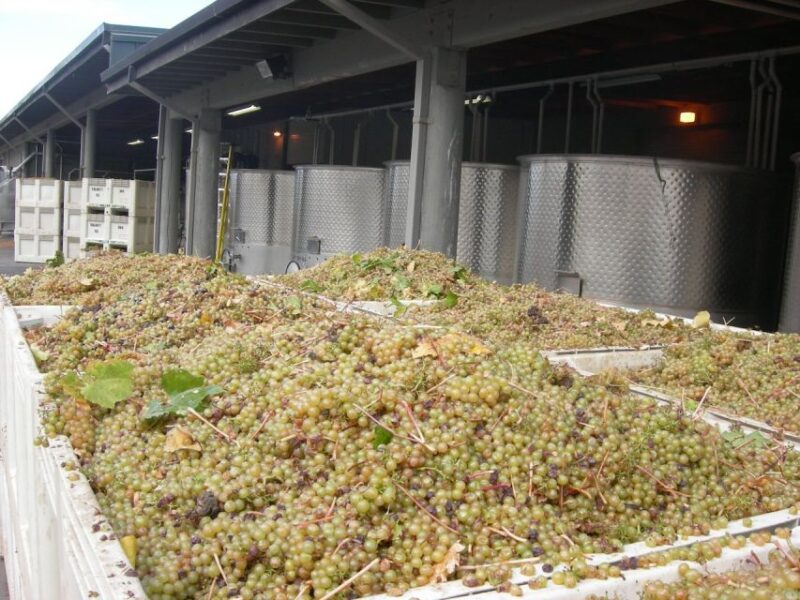 Carmel Valley Wine Tasting Tour - Practical Tips for Participants